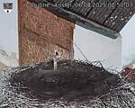 Capi_Dubne_20250806_085003.jpg