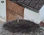 Capi_Dubne_20250806_092002.jpg