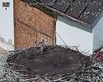Capi_Dubne_20250806_110004.jpg