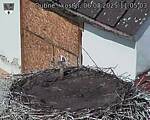 Capi_Dubne_20250806_110503.jpg