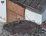Capi_Dubne_20250806_112002.jpg