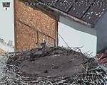 Capi_Dubne_20250806_122002.jpg