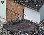 Capi_Dubne_20250806_122503.jpg
