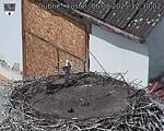 Capi_Dubne_20250806_123002.jpg