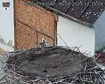Capi_Dubne_20250806_123504.jpg