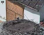 Capi_Dubne_20250806_125003.jpg