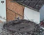 Capi_Dubne_20250806_132003.jpg