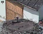 Capi_Dubne_20250806_132502.jpg