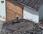 Capi_Dubne_20250806_133502.jpg