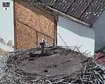 Capi_Dubne_20250806_134004.jpg