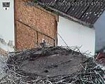 Capi_Dubne_20250806_134502.jpg