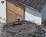 Capi_Dubne_20250806_135003.jpg
