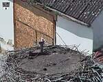 Capi_Dubne_20250806_135503.jpg