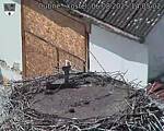 Capi_Dubne_20250806_140502.jpg