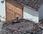 Capi_Dubne_20250806_141502.jpg