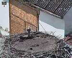 Capi_Dubne_20250806_142504.jpg