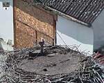 Capi_Dubne_20250806_144003.jpg