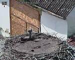 Capi_Dubne_20250806_145503.jpg