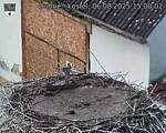 Capi_Dubne_20250806_150002.jpg