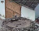 Capi_Dubne_20250806_150503.jpg