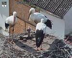 Capi_Dubne_20250806_153503.jpg