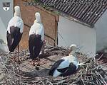 Capi_Dubne_20250806_155004.jpg