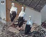 Capi_Dubne_20250806_160502.jpg