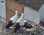 Capi_Dubne_20250806_162502.jpg