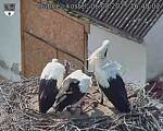 Capi_Dubne_20250806_164002.jpg
