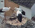 Capi_Dubne_20250806_172003.jpg