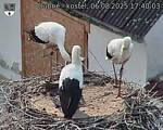 Capi_Dubne_20250806_174003.jpg