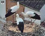 Capi_Dubne_20250806_180503.jpg
