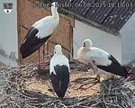 Capi_Dubne_20250806_181003.jpg