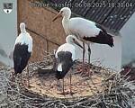 Capi_Dubne_20250806_183004.jpg