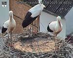 Capi_Dubne_20250806_184002.jpg