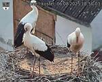 Capi_Dubne_20250806_185003.jpg