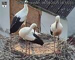Capi_Dubne_20250806_185503.jpg