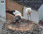 Capi_Dubne_20250806_191004.jpg
