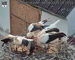 Capi_Dubne_20250806_192502.jpg