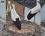 Capi_Dubne_20250806_194003.jpg