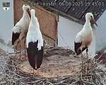 Capi_Dubne_20250806_194503.jpg