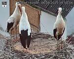 Capi_Dubne_20250806_195004.jpg
