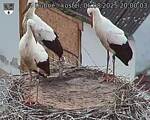 Capi_Dubne_20250806_200003.jpg