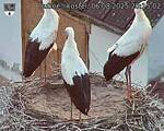 Capi_Dubne_20250806_201502.jpg