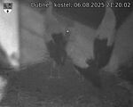 Capi_Dubne_20250806_212002.jpg