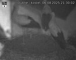 Capi_Dubne_20250806_213002.jpg