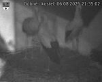 Capi_Dubne_20250806_213502.jpg