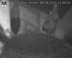 Capi_Dubne_20250806_214003.jpg