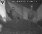 Capi_Dubne_20250806_214502.jpg