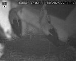 Capi_Dubne_20250806_220002.jpg